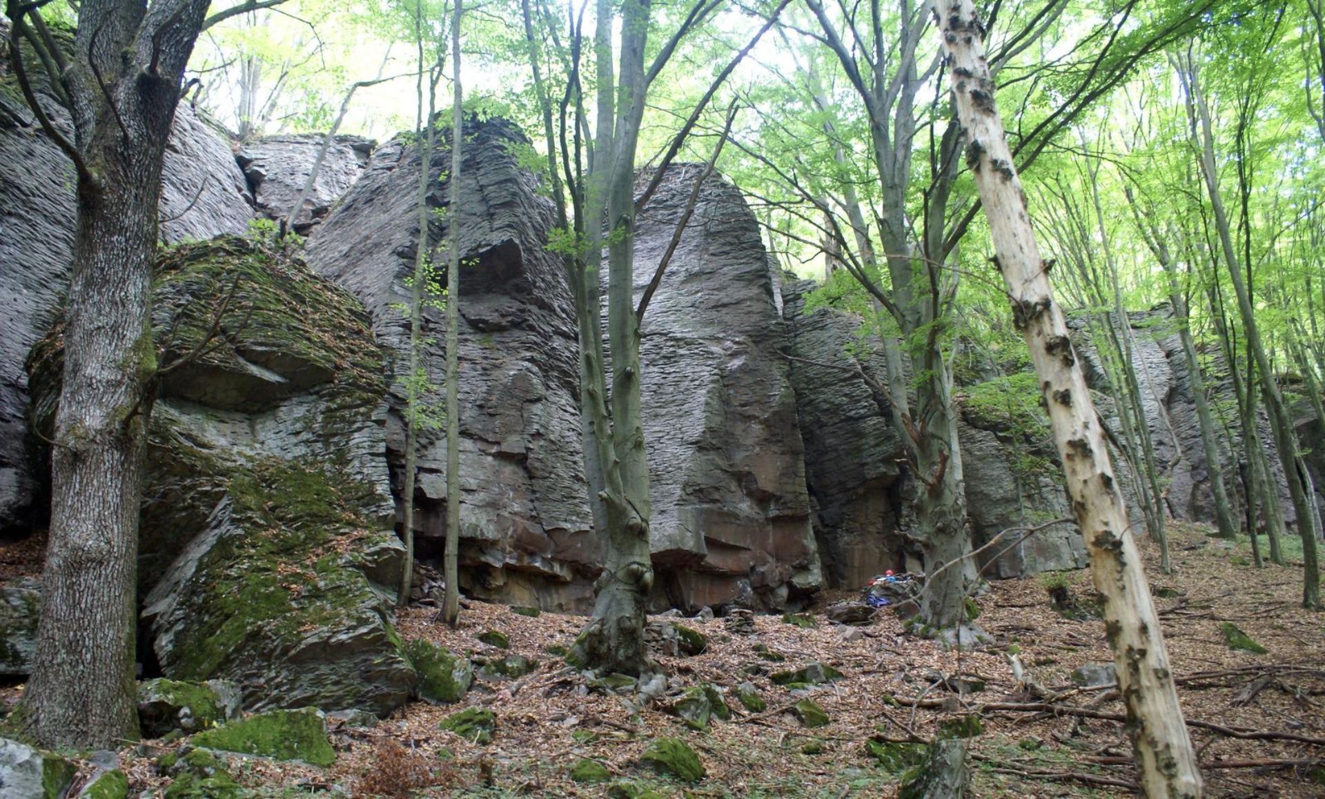 Kalamárka