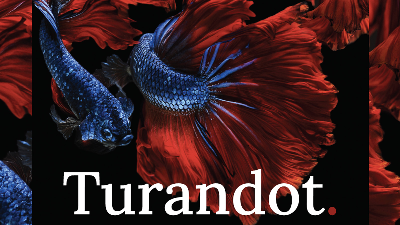 Turandot Turandot