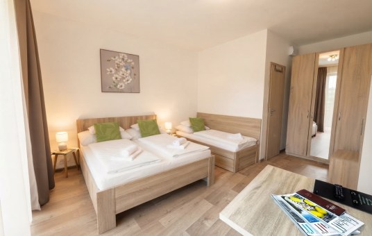 Family Superior Apartment for 5 people